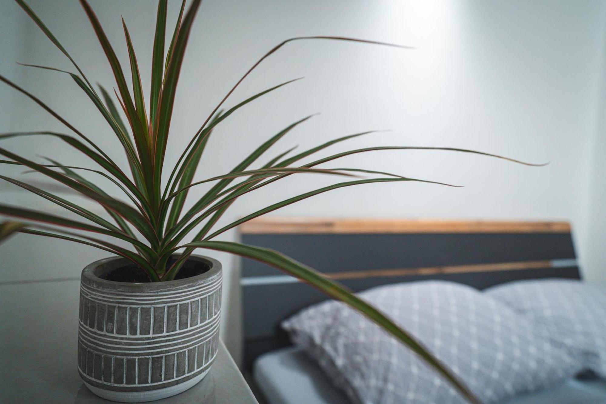 Apartmany V Podzamci Náchod Exteriör bild
